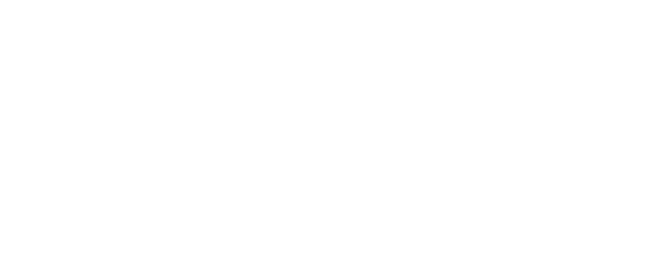 Orca